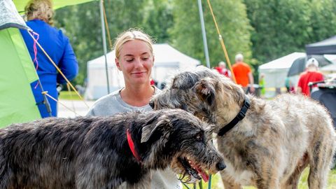 GALERII ⟩ Kääbused ja hiiglased vaheldumisi ehk Homseni näeb poppe ja vähetuntud koeratõuge