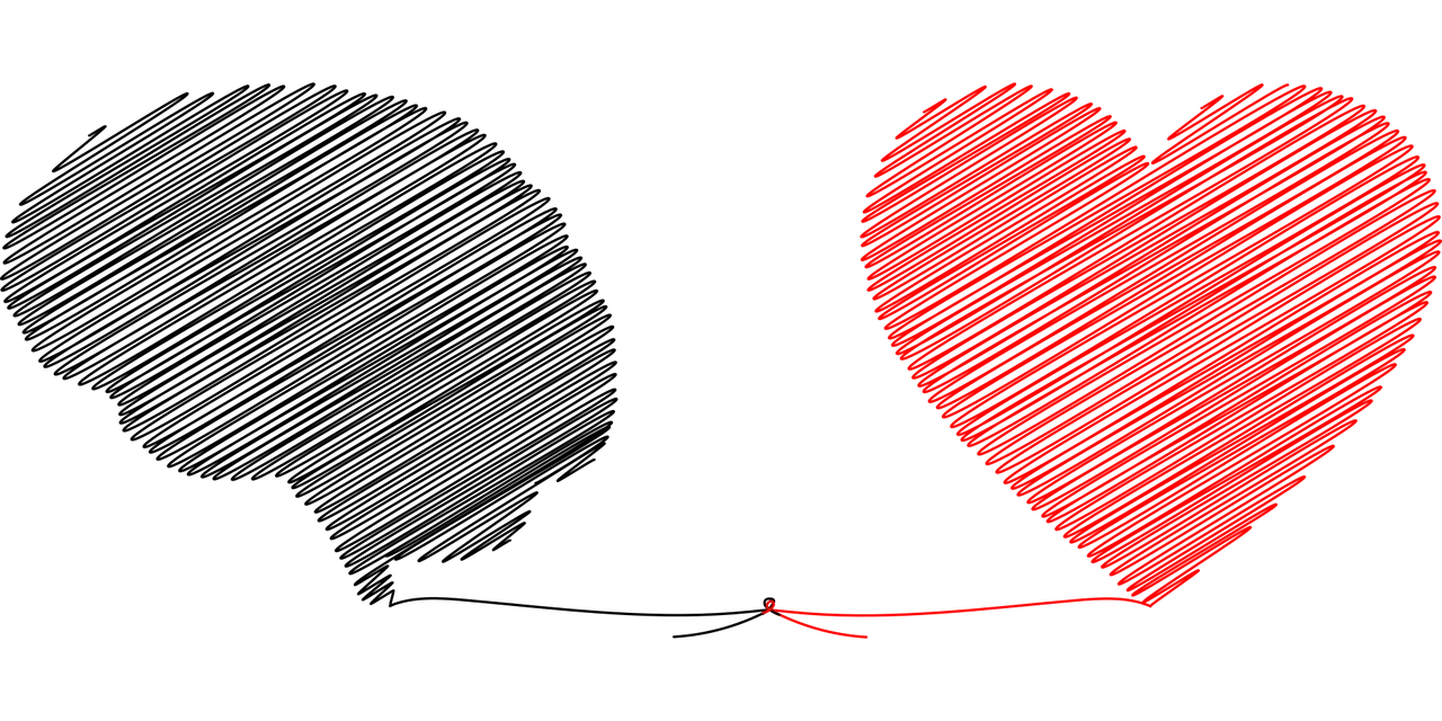 Artikli foto
