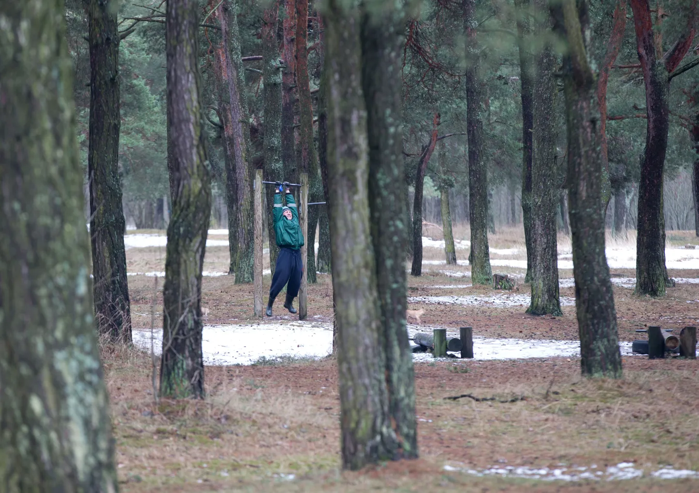 Foto on illustratiivse tähendusega.