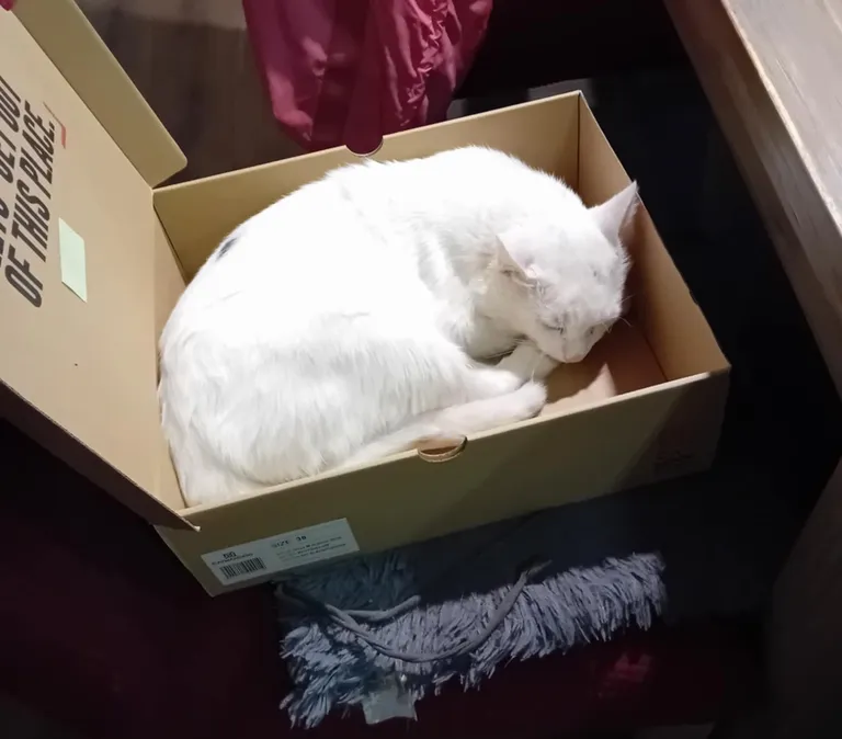 Момо.