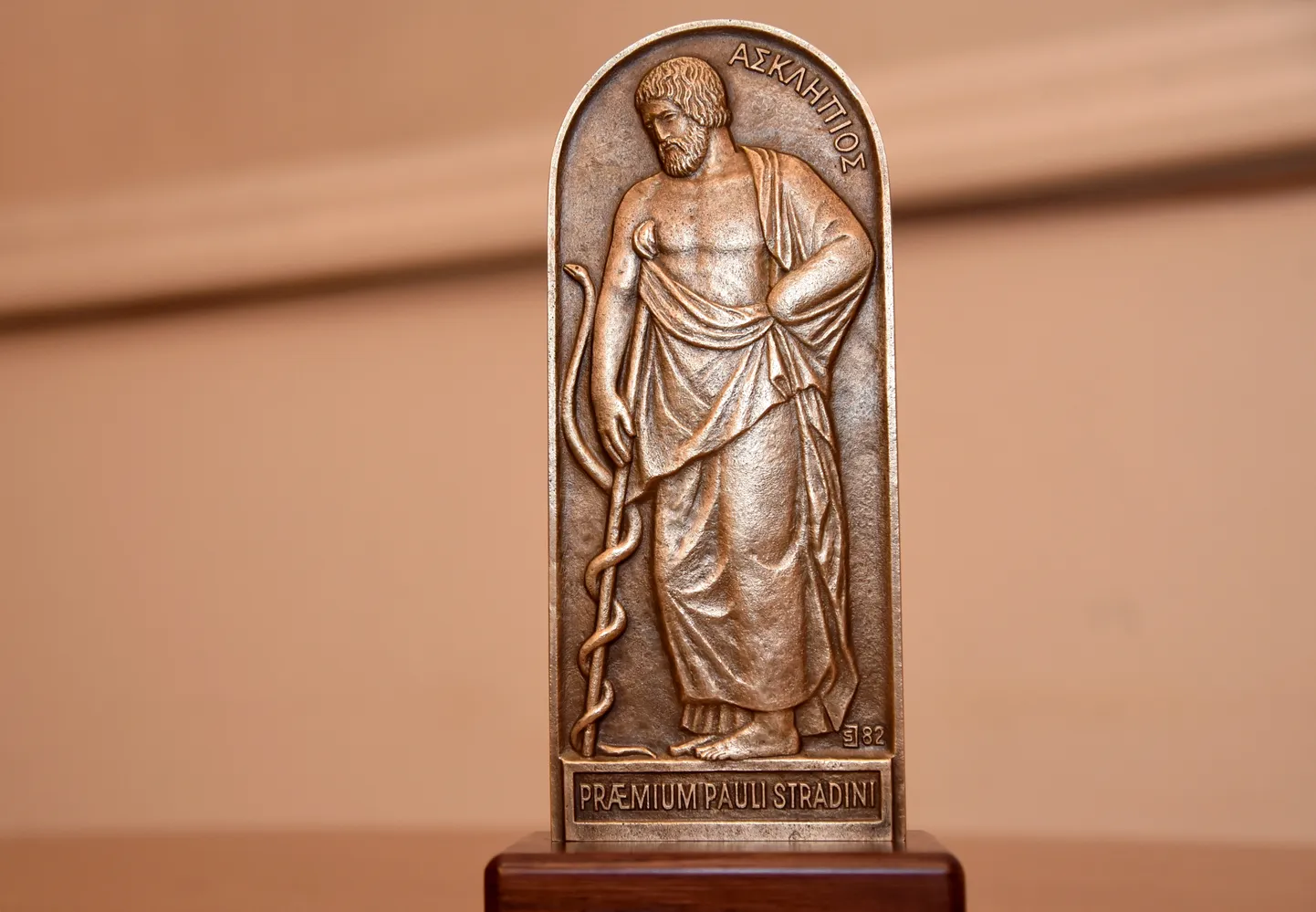 Paula Stradiņa balva.