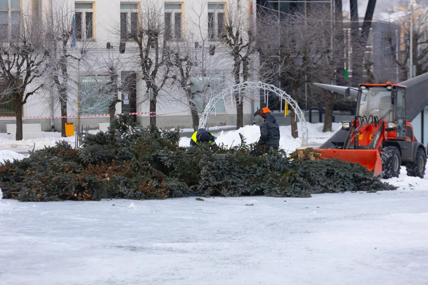 Keskväljakult võeti kuusk maha.