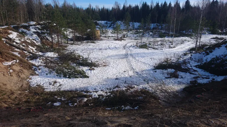 Kuulirahest langenud puud laskepaiga lähistel.