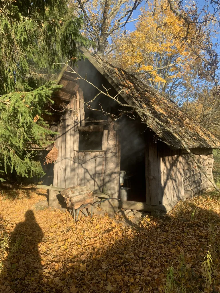 Maa on kaetud paksu lehevaibaga.