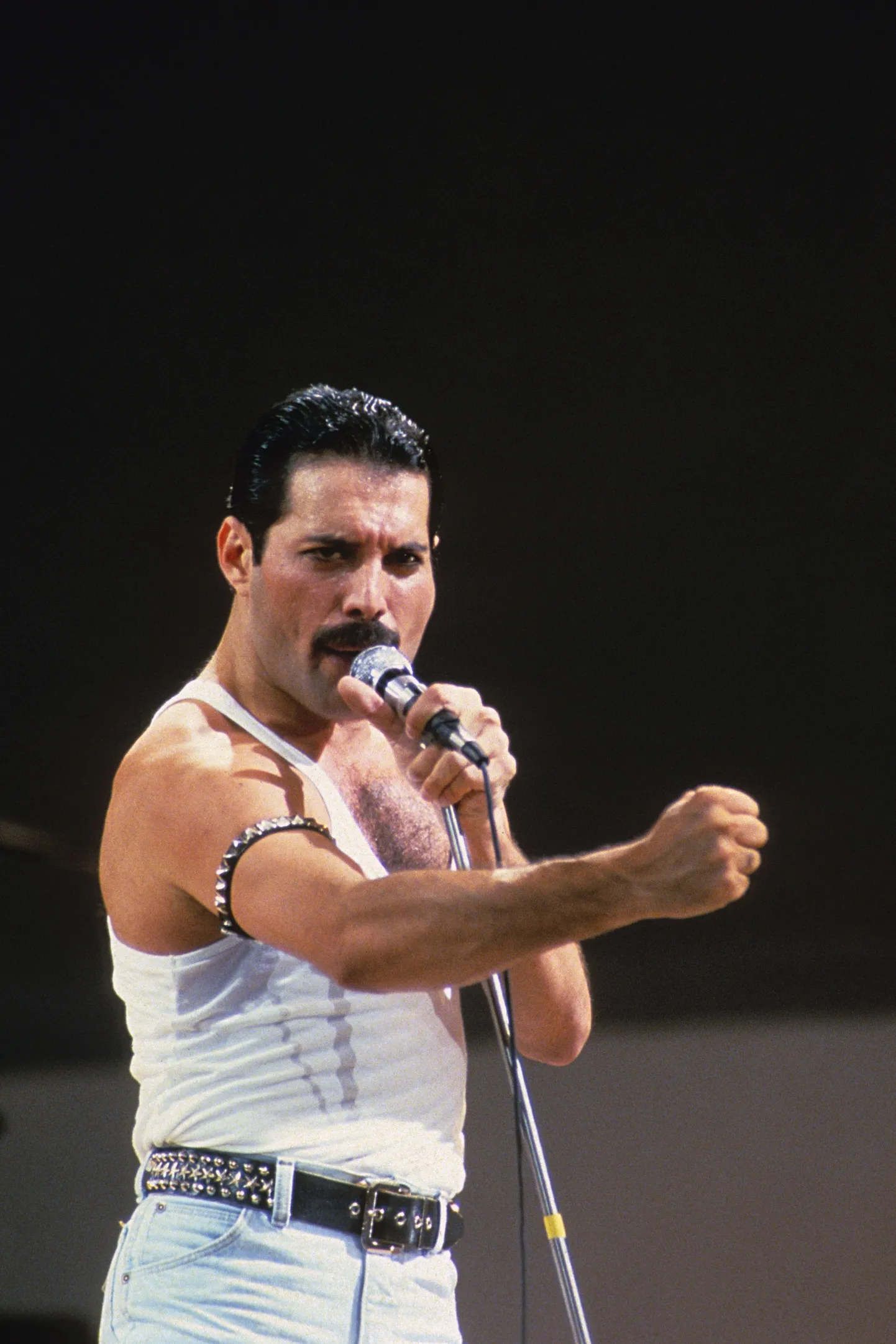 Queeni lugu «We Are the Champions» (1977) oli 1994. aasta jalgpalli MMi ametlik teemalgu, ent spordiga seoses on esitatud seda ilmselt lugematu arv kordi.