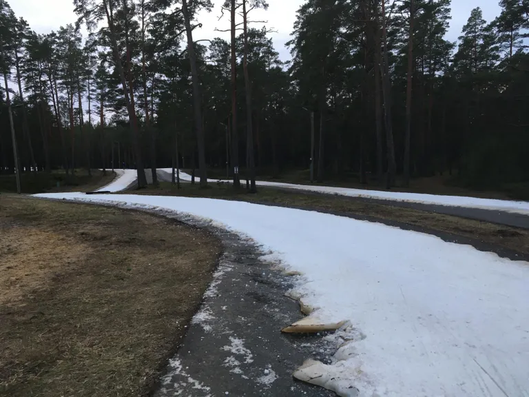 Mullusest kunstlumest valmistatud 1,4 kilomeetri pikkune suusarada nädal tagasi Pärnumaal Jõulumäel.