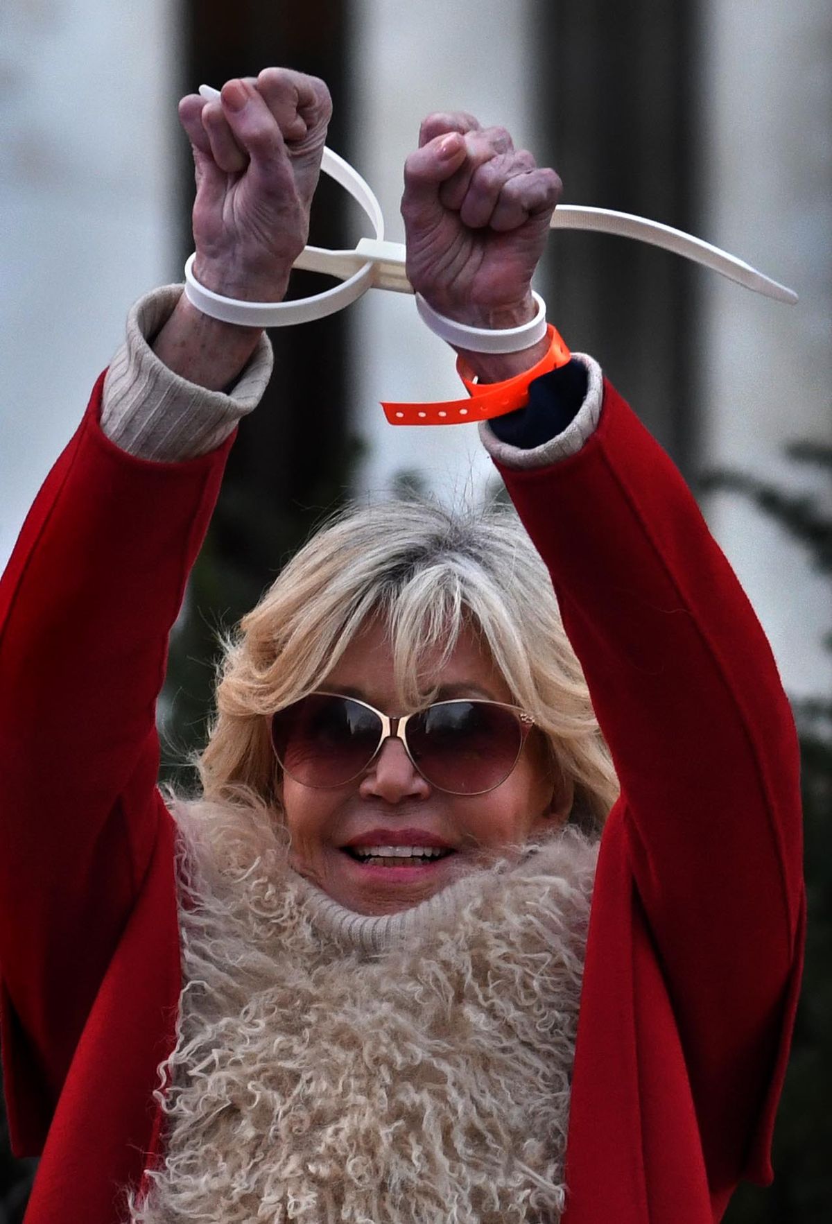 Jane Fonda arreteeriti viimati 20. detsembril, päev enne oma sünnipäeva, tema enda korraldatud ebaseaduslikul kliimaprotestil. 