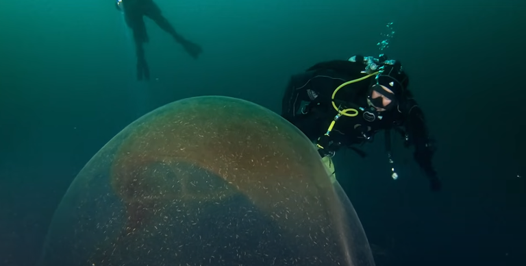 Sukeldujad Norra vetes koos kalmaari suure munakotiga