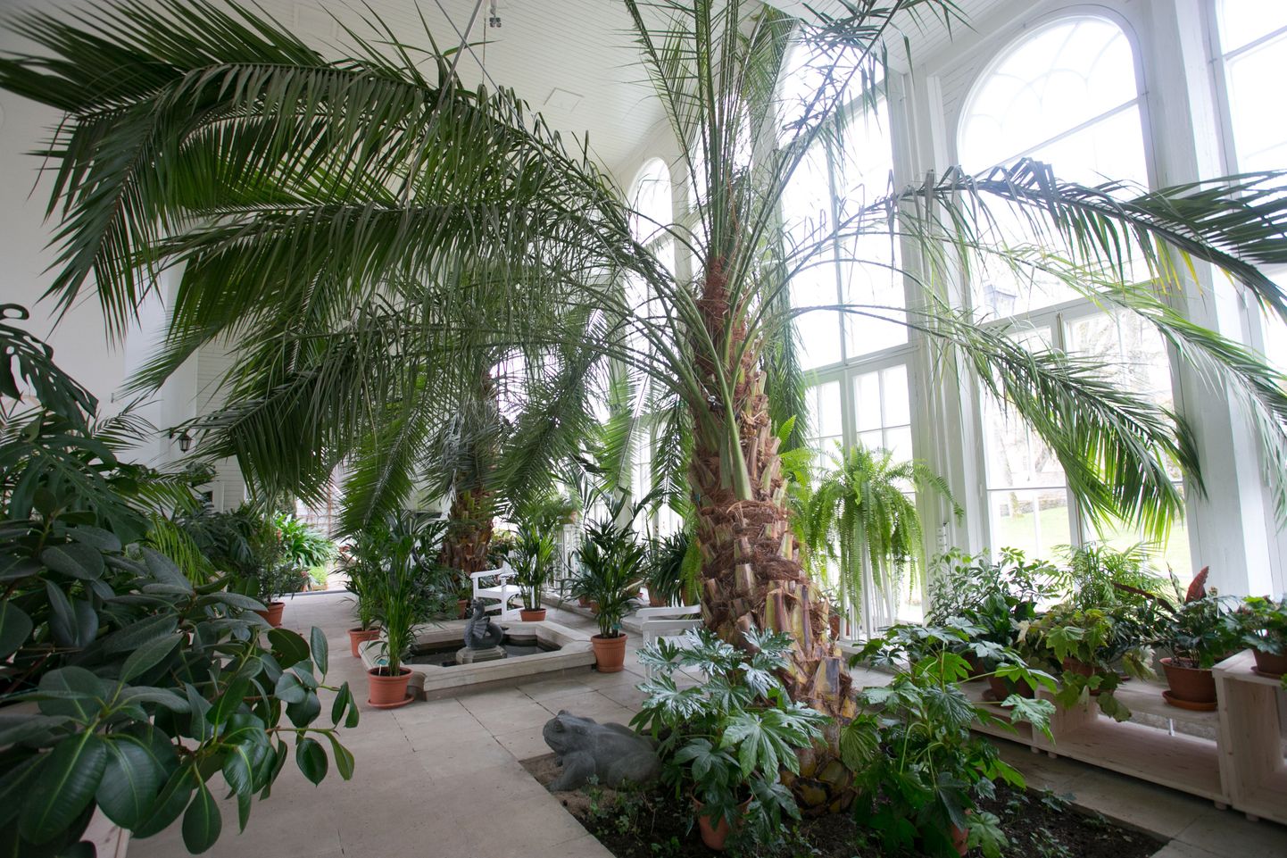 Palmse mõisa renoveeritud palmimaja.