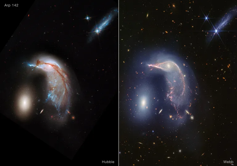 Imaginile telescopului Hubble și Webb ale Arp 142.