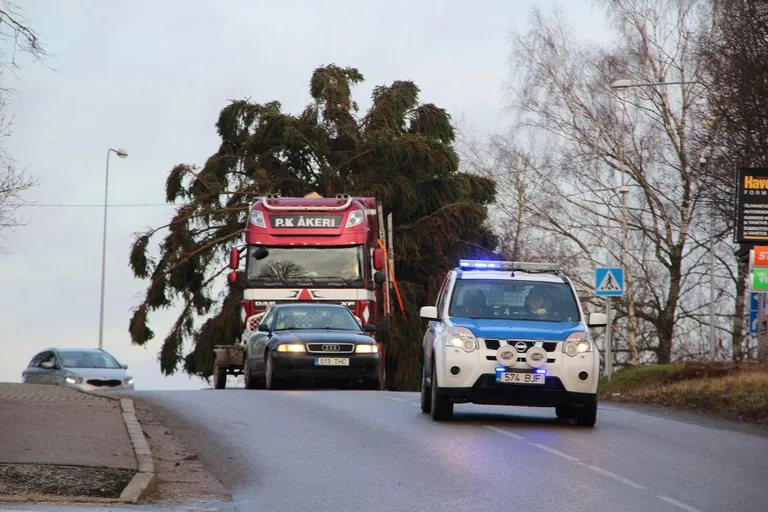 Otepää sai jõulupuu Kastolatsi külast