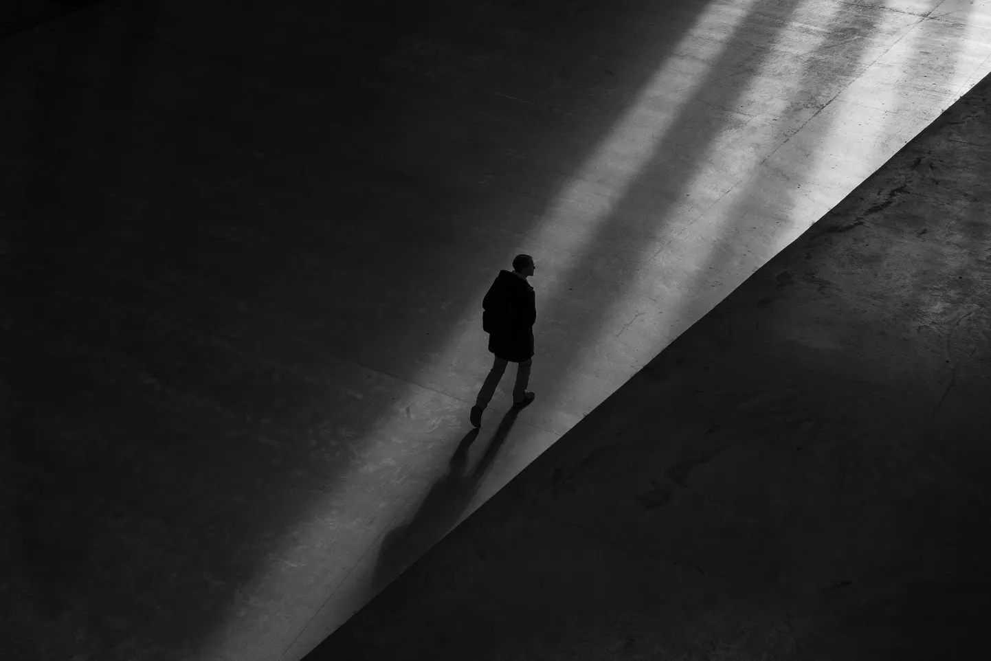Фото статьи