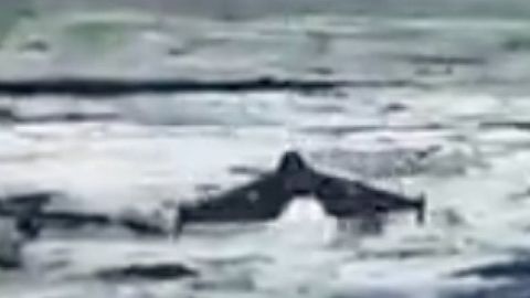 VIDEO ⟩ Uus tase Ukraina droonitõrjes: püüduridroon Litavr hävitas Shahedi täiesti uuel moel