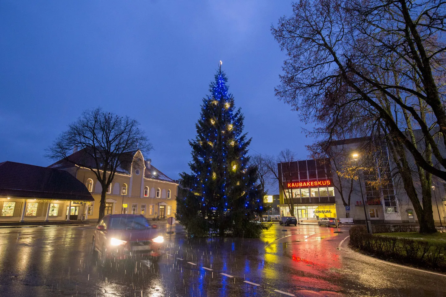 Paide jõulupuu.