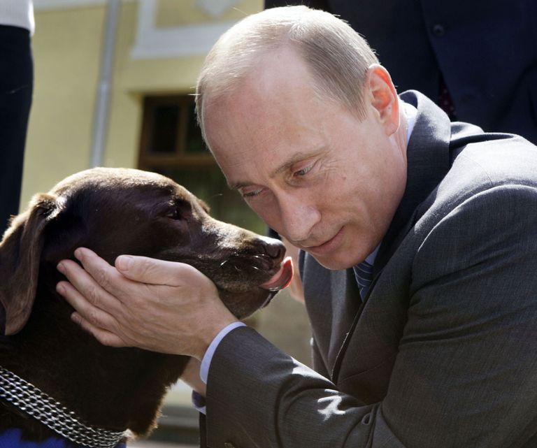 Venemaa peaminister Vladimir Putin koos oma labradori Tonikuga