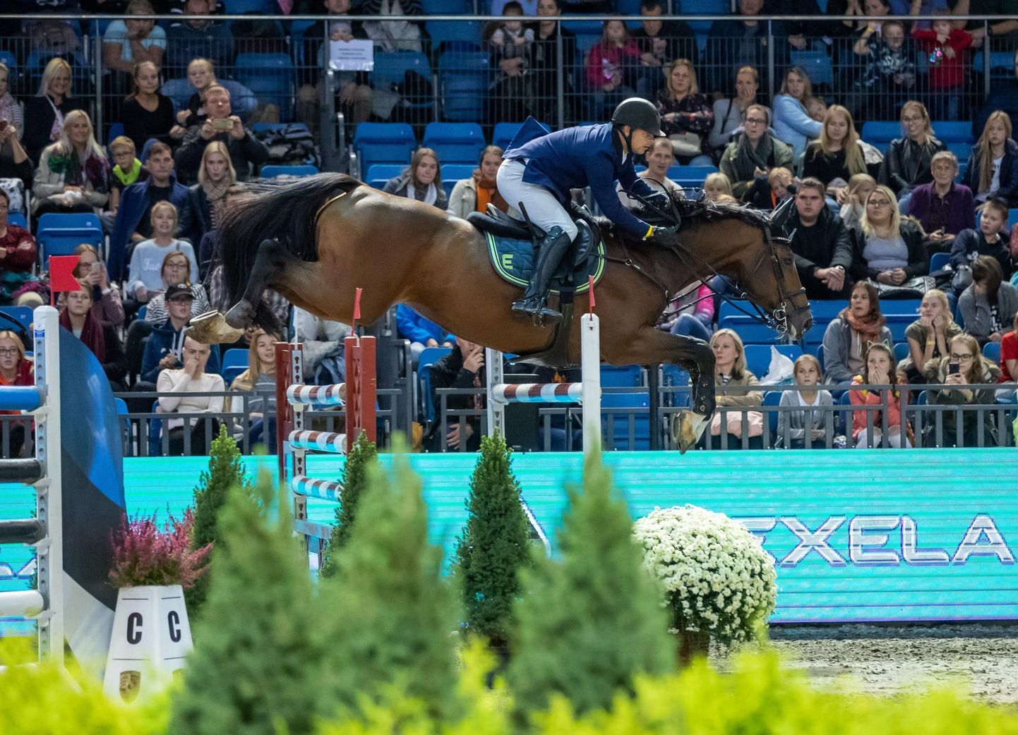 Ханно Эллерман и его лощадь Фридом на Tallinn International Horse Show в 2018 году.
