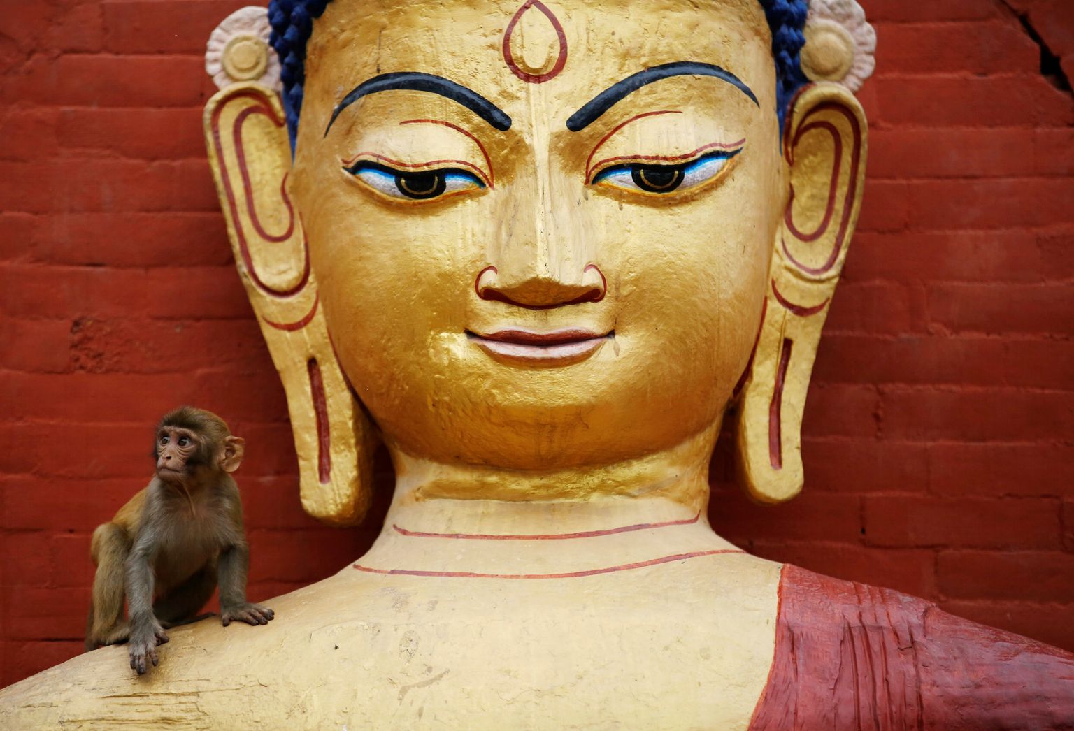Buddha kuju Nepali pealinnas Kathmandus.