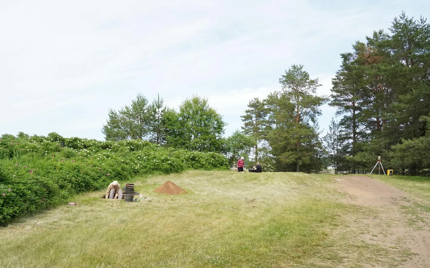 Arheoloogilised väljakaevamised Toila Roosimäe asulakohal.