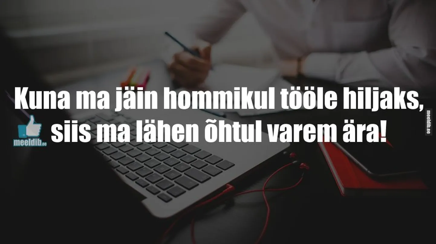Artikli foto