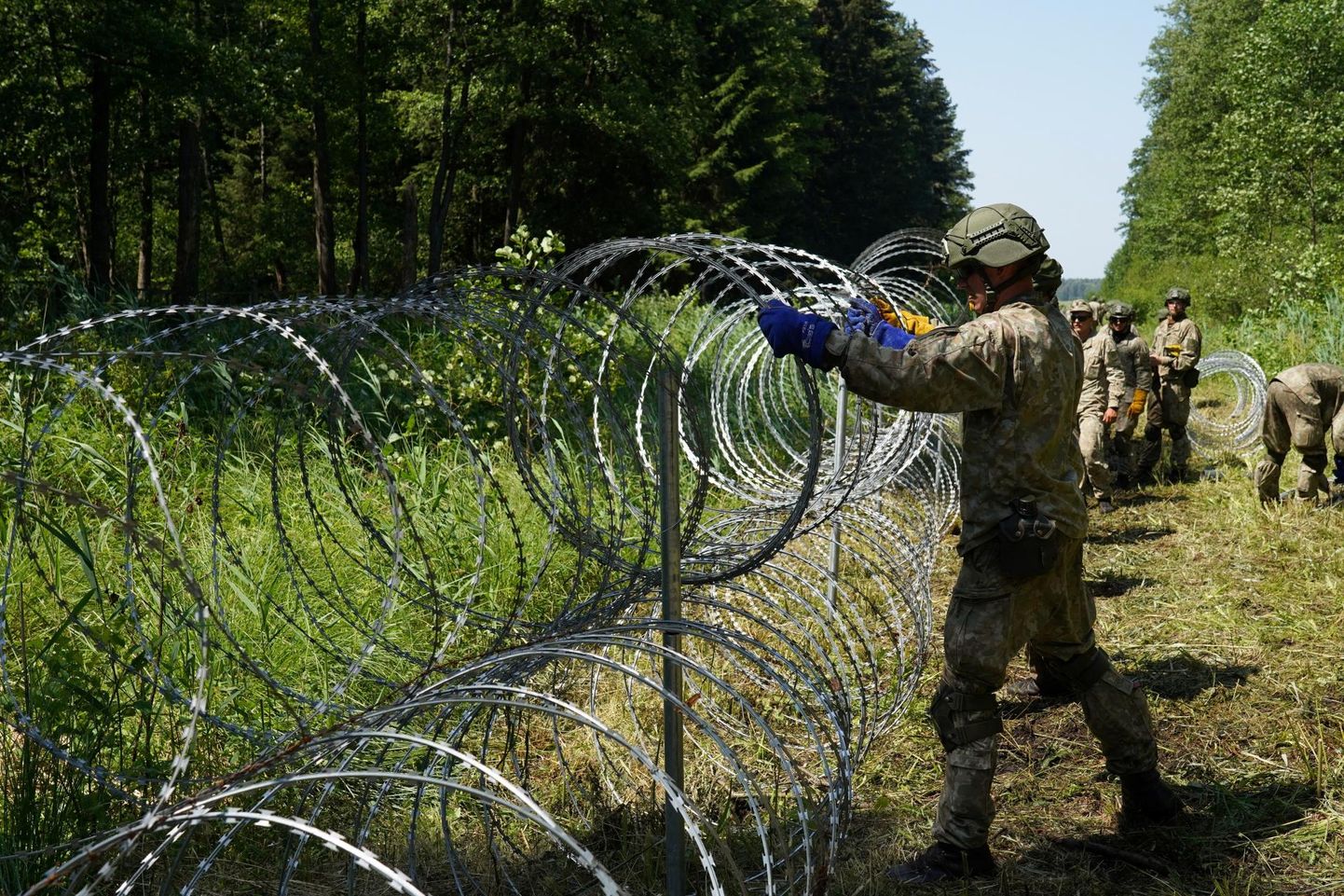 Leedu kaitseväelased Druskininkai piiritsoonis lõiketraati paigaldamas.  FOTO: Jānis Laizāns / Reuters / Scanpix