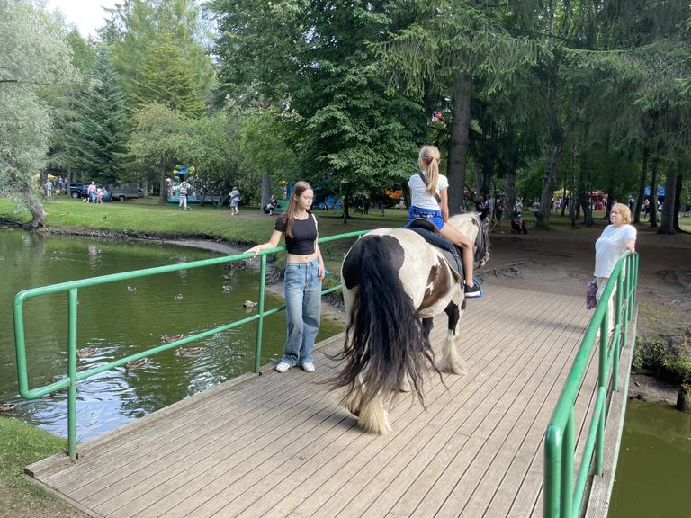 Дети смогли покататься на лошадях.