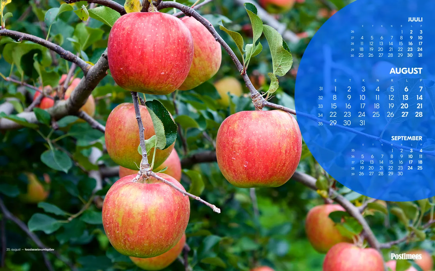 Kalender, august 1920x1200