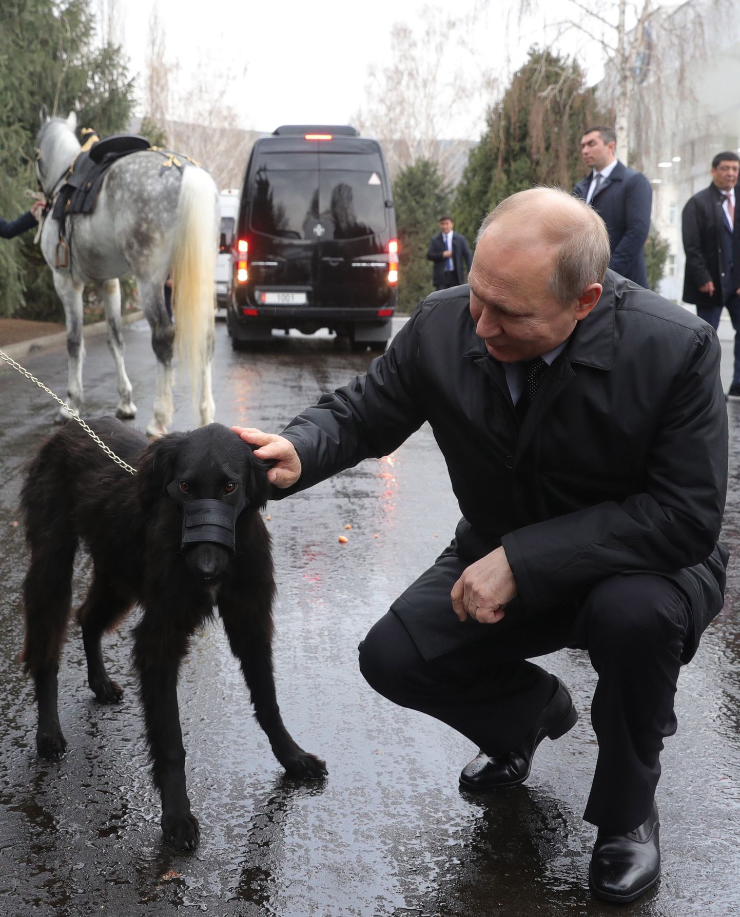 Владимир Путин со щенком