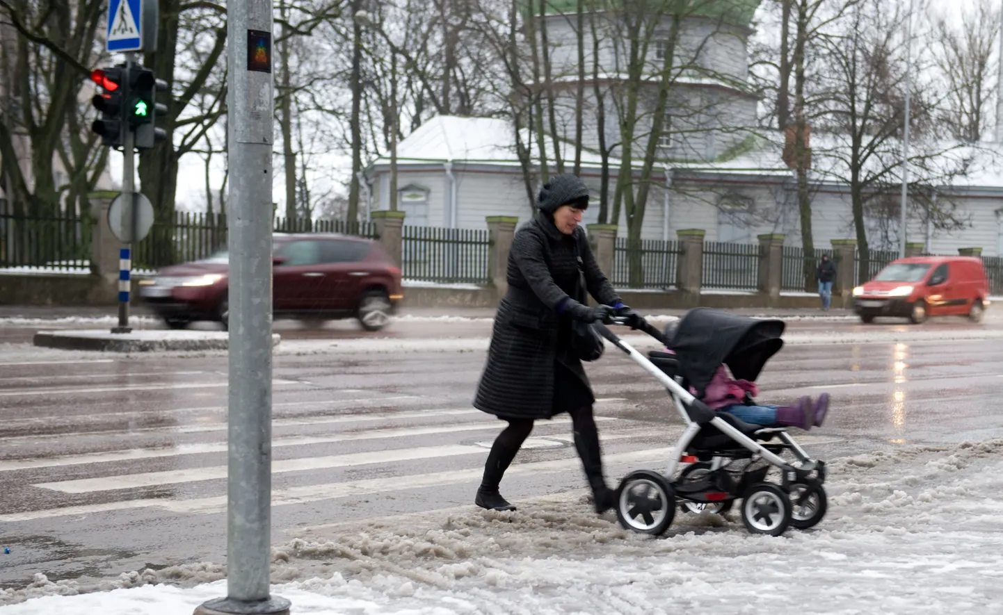 Ülekäigurada Tallinnas.