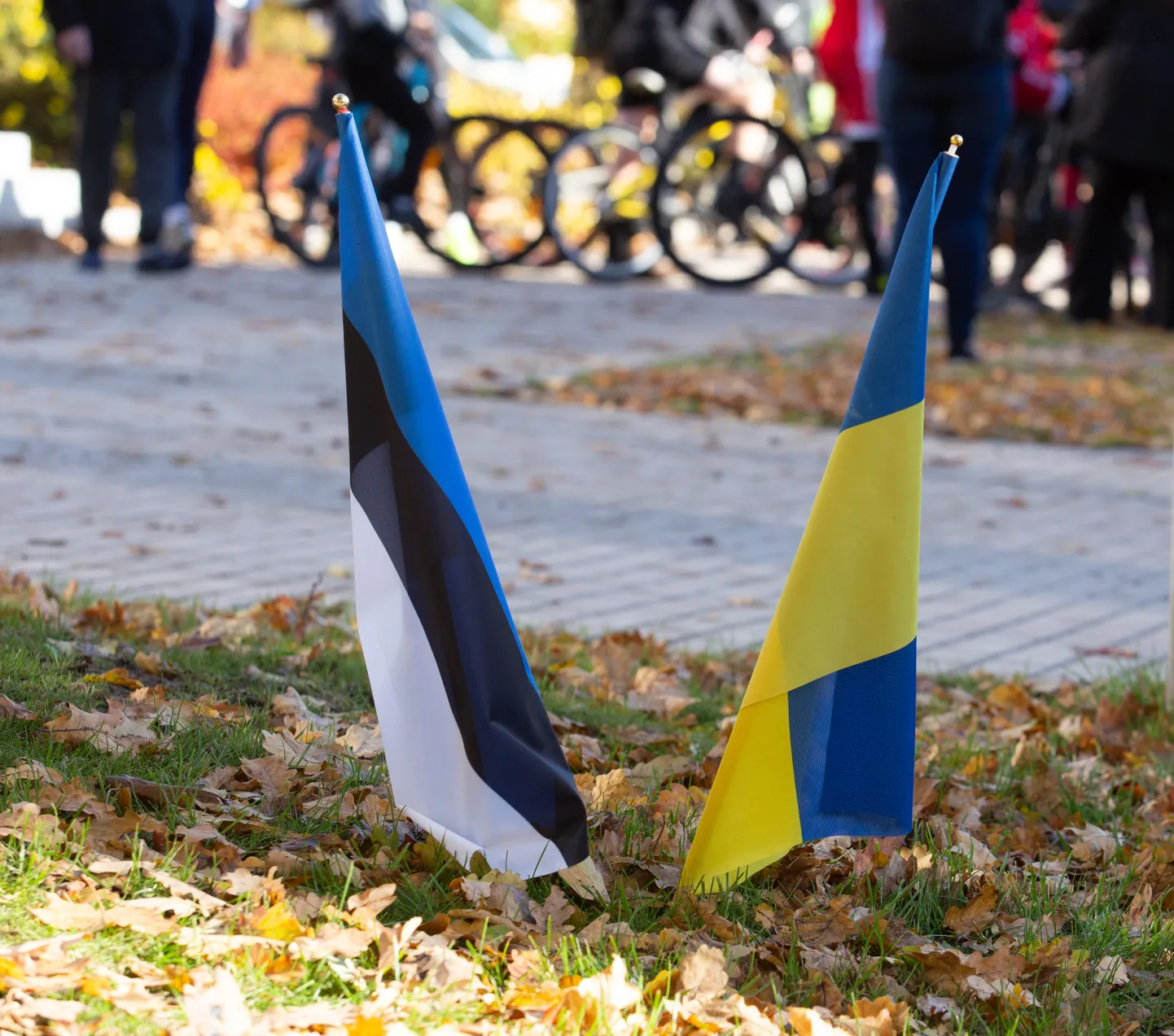 Эстонский и украинский флаги. Иллюстративное фото