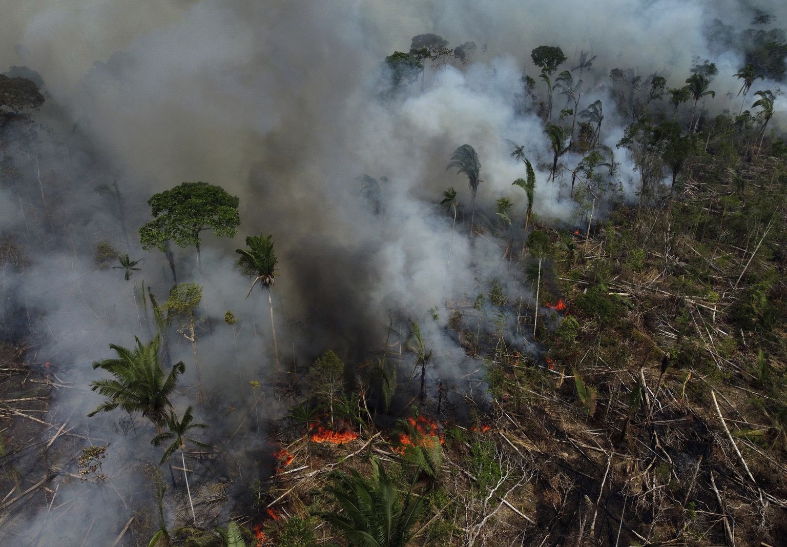 Kliimamuutuste tõttu on suurenenud ka metsapõlengute arv Amazonase vihmametsas.