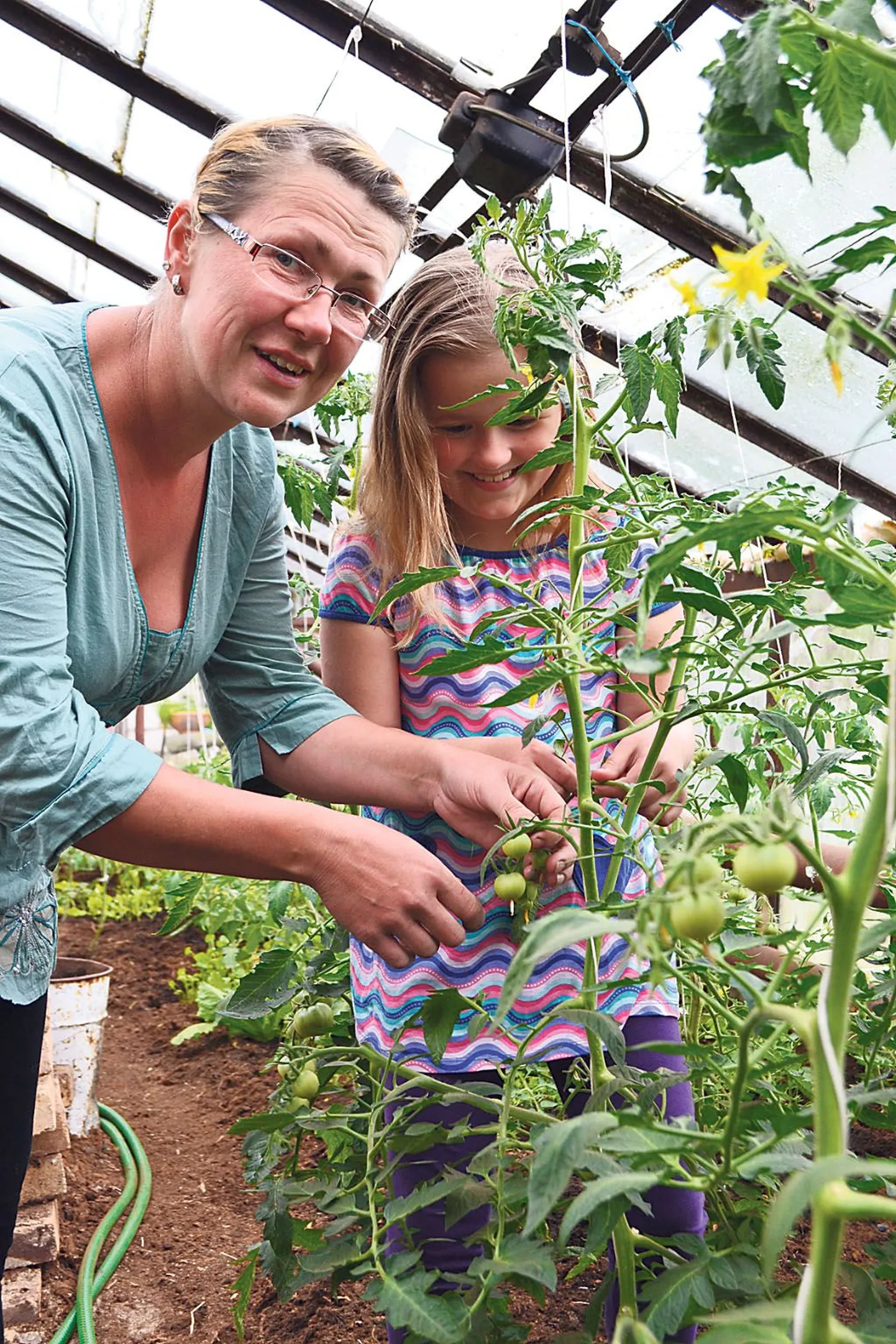Mahetalunik Kaie Rulli õuele püstitatud uus triiphoone on maitsetaimede jaoks, teises kasvuhoones on kurgid-tomatid, aiapidamisel on abiks tütar Vivian Rull.