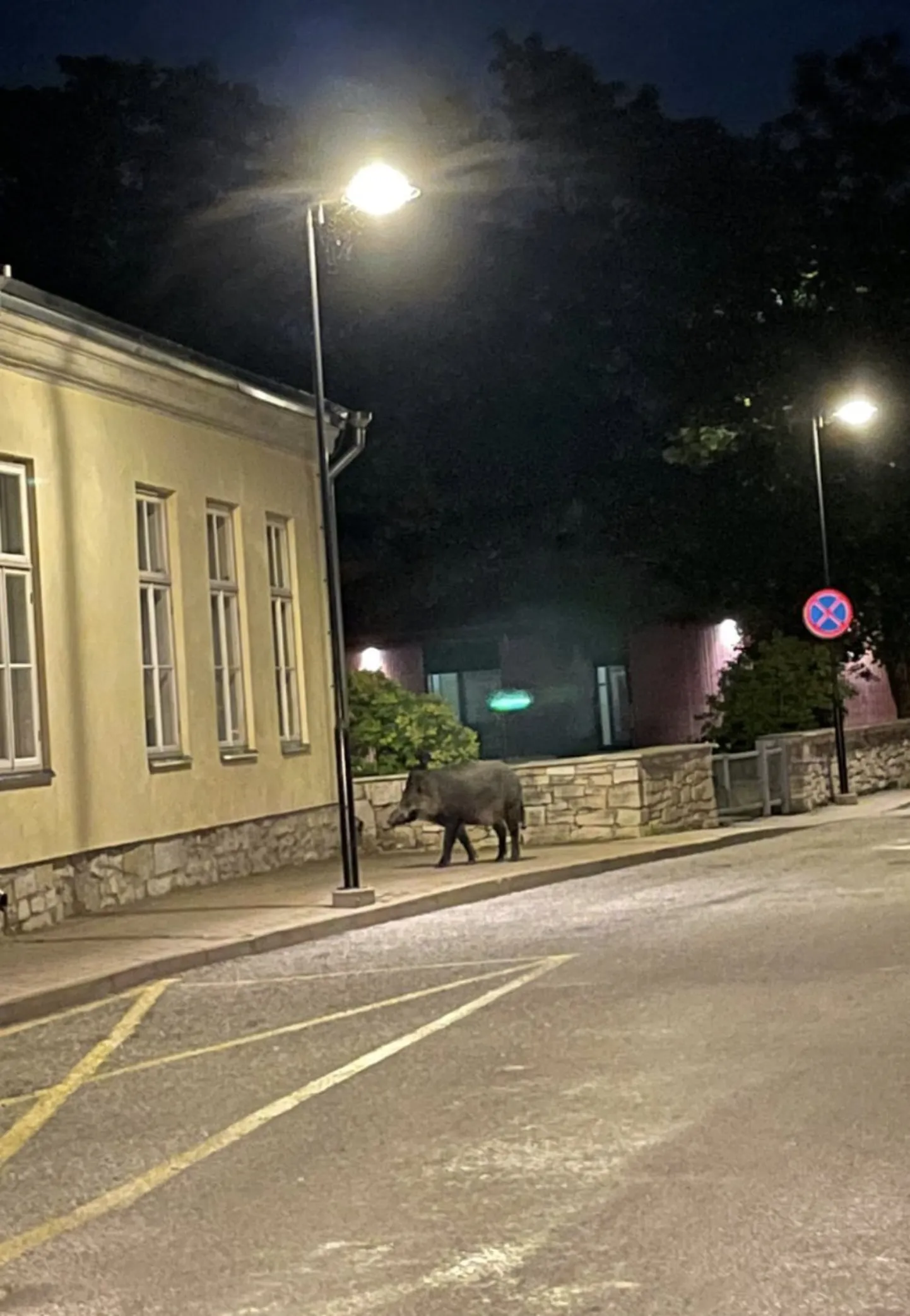 Фото статьи