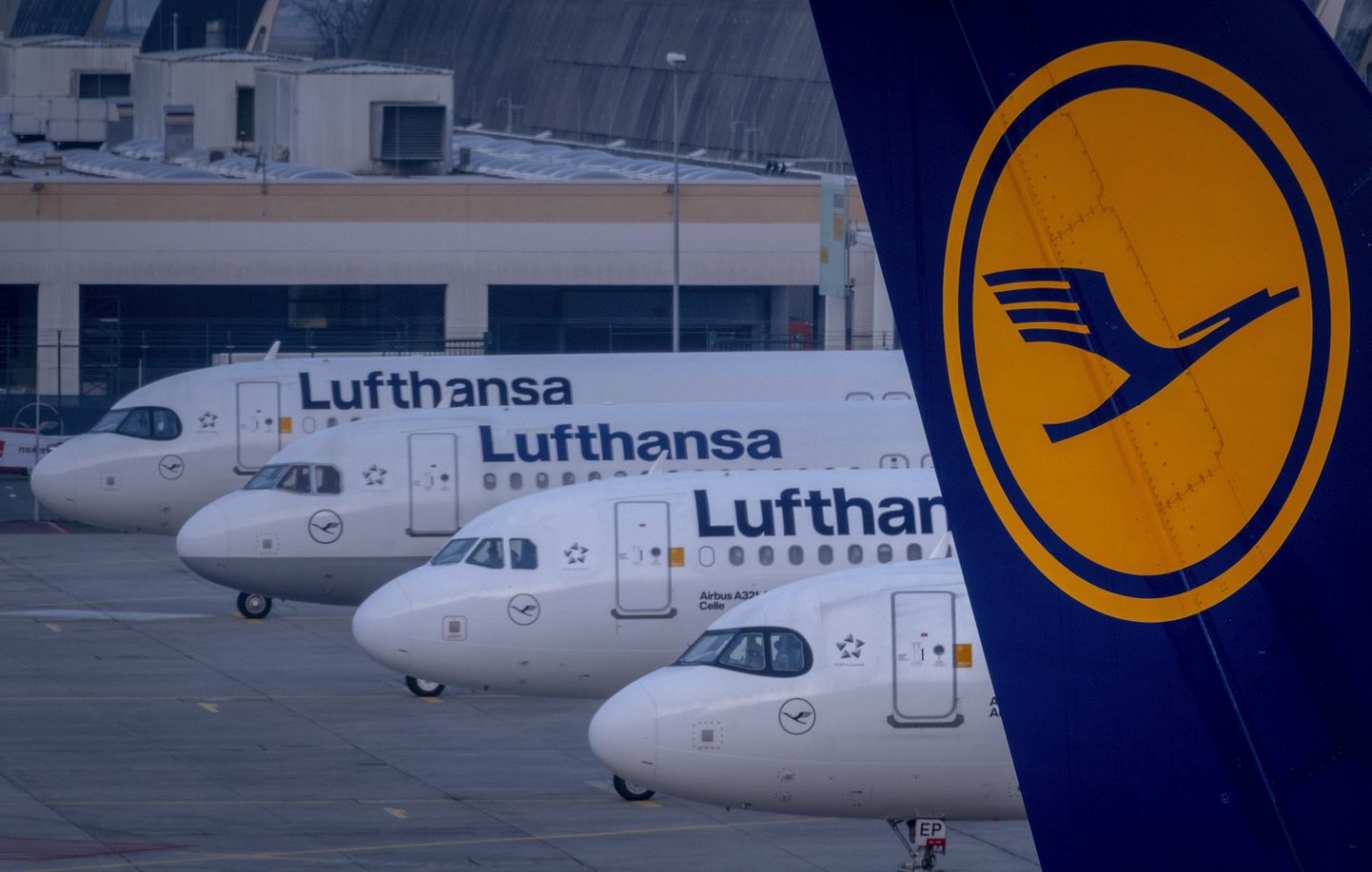 Saksamaa lennufirma Lufthansa lennukid 7. märtsil 2024 Frankfurdi lennujaamas.  Lufthansa ning lennujaama turvatöötajate streigi tõttu on suurem osa lende tühistatud.