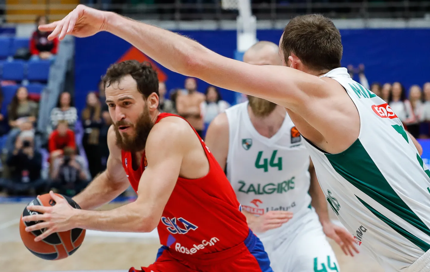 Sergio Rodriguez (palliga).