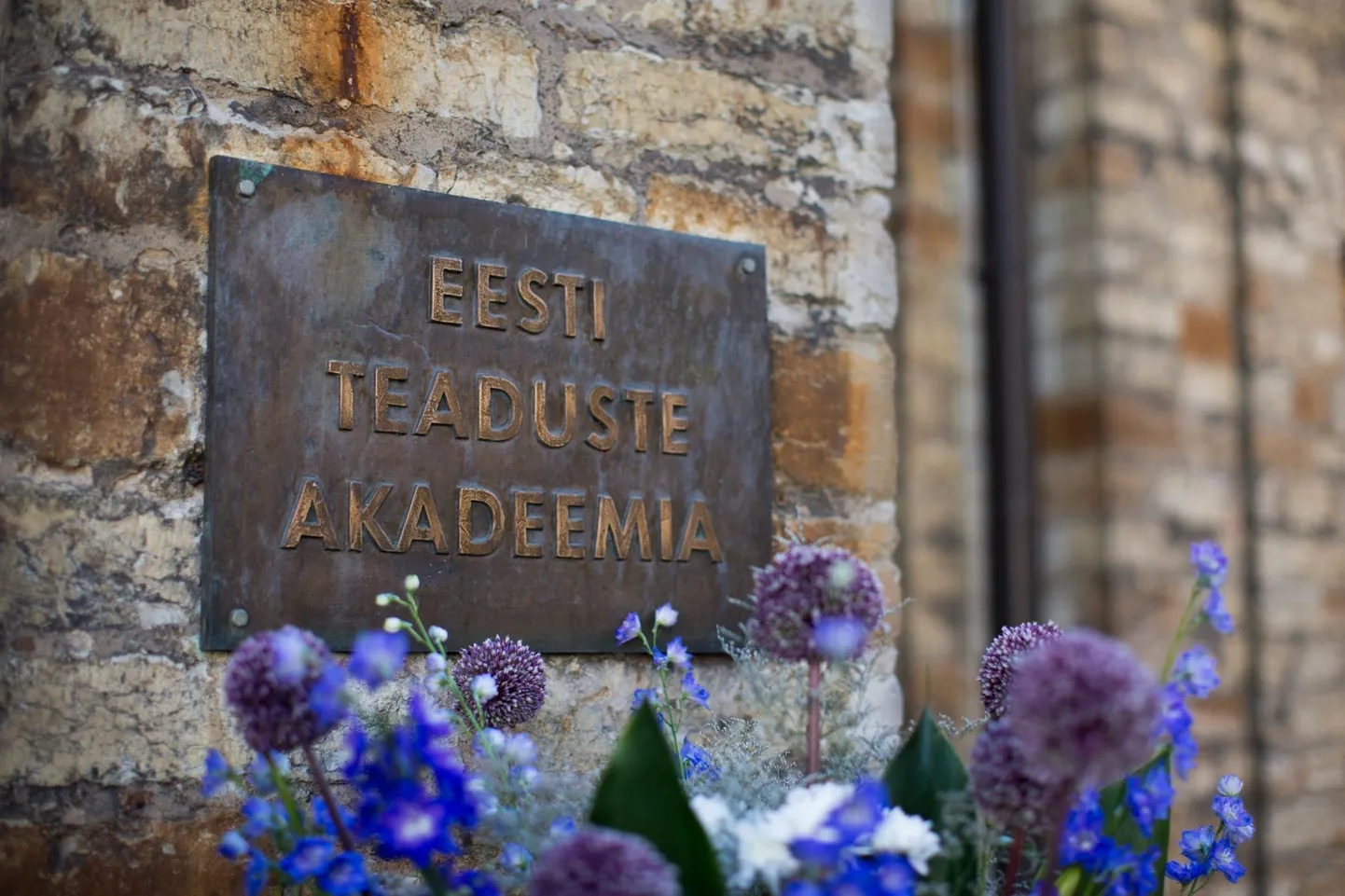 Eesti Teaduste Akadeemia tahvel Toompeal.