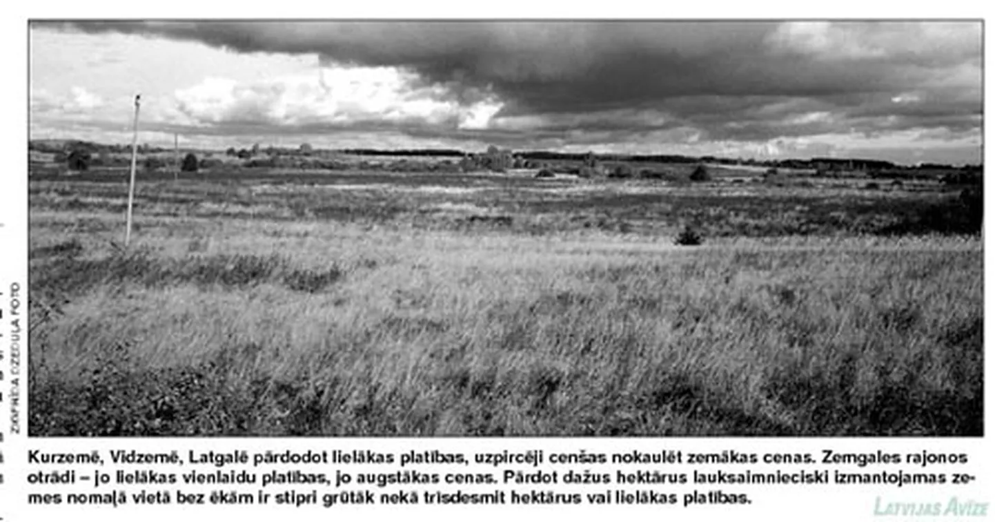 Raksta foto