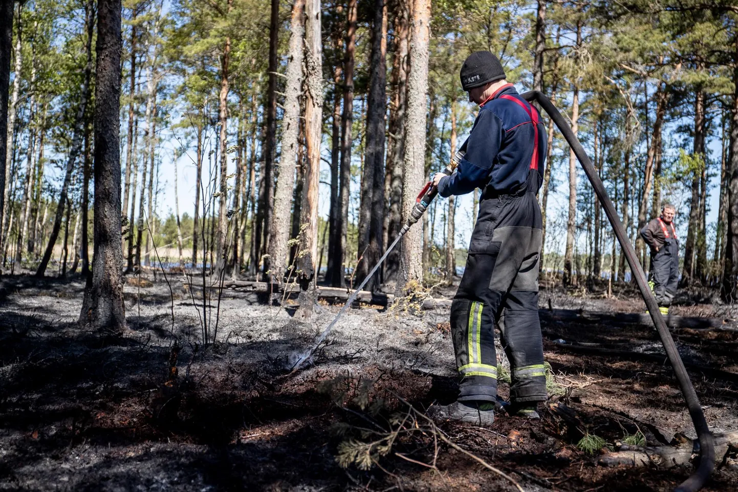 Tänavune suurim metsatulekahju lõõmas mai viimasel nädalavahetusel Klooga rabas 120 hektaril.