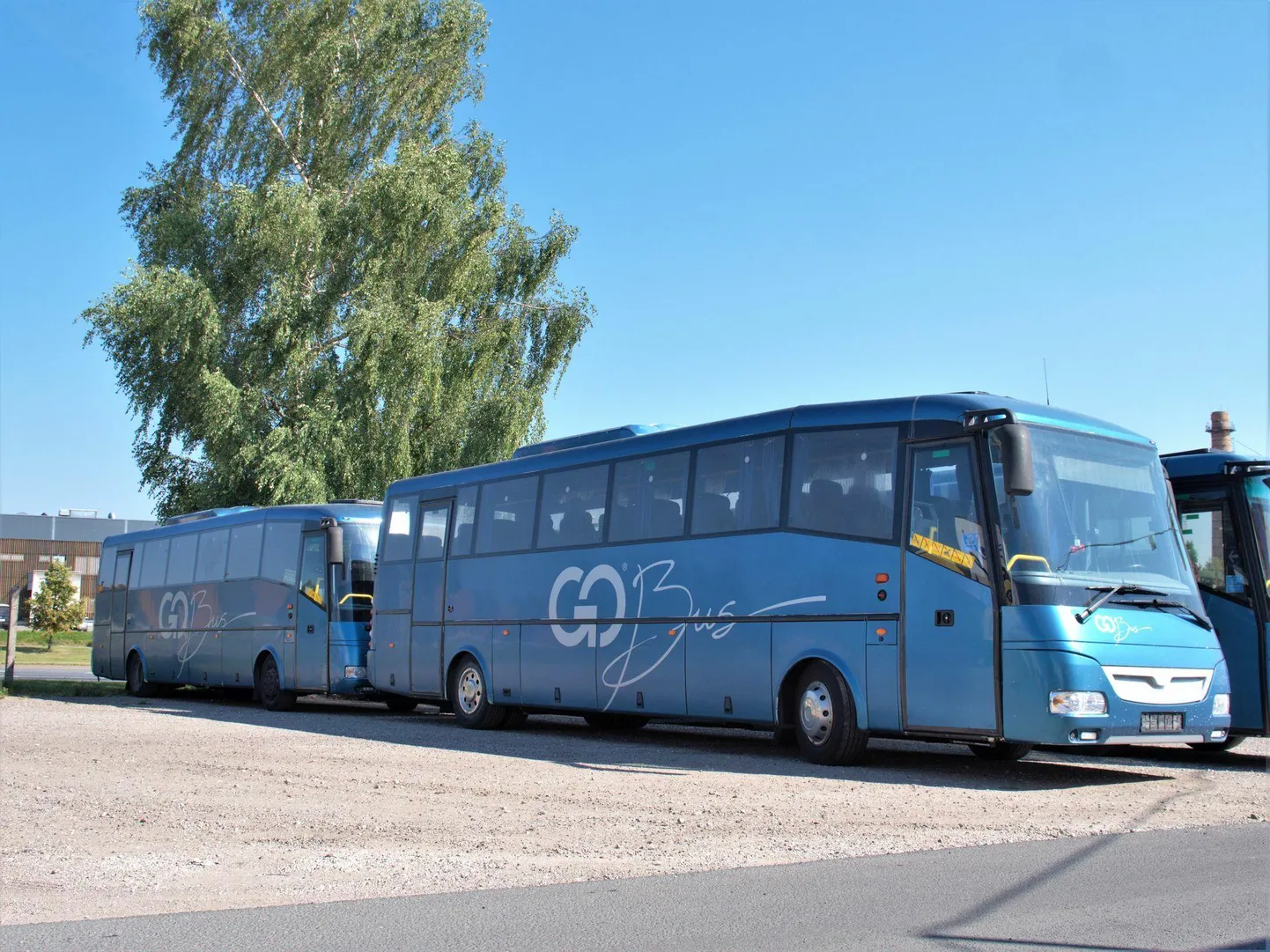 Igas Lvivile kingitavas bussis on 44 iste- ja 13 seisukohta.