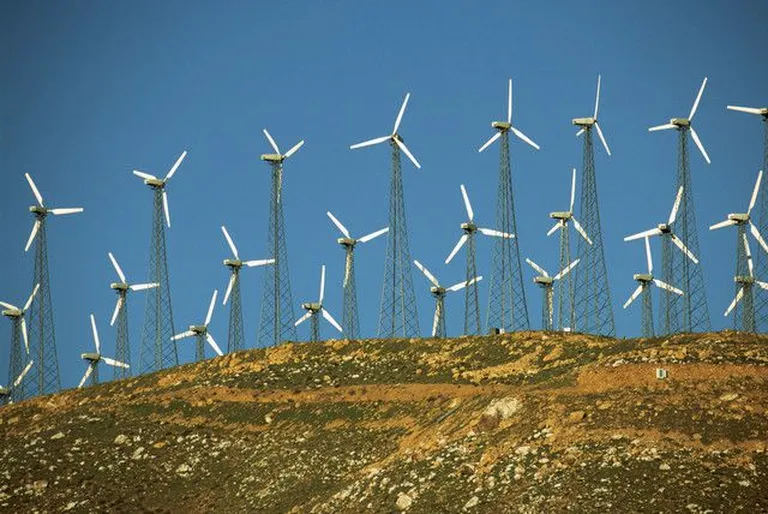Tuulikud. Foto: Scanpix