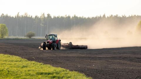 Leedu põllumajandus sõltub üha enam välistööjõust