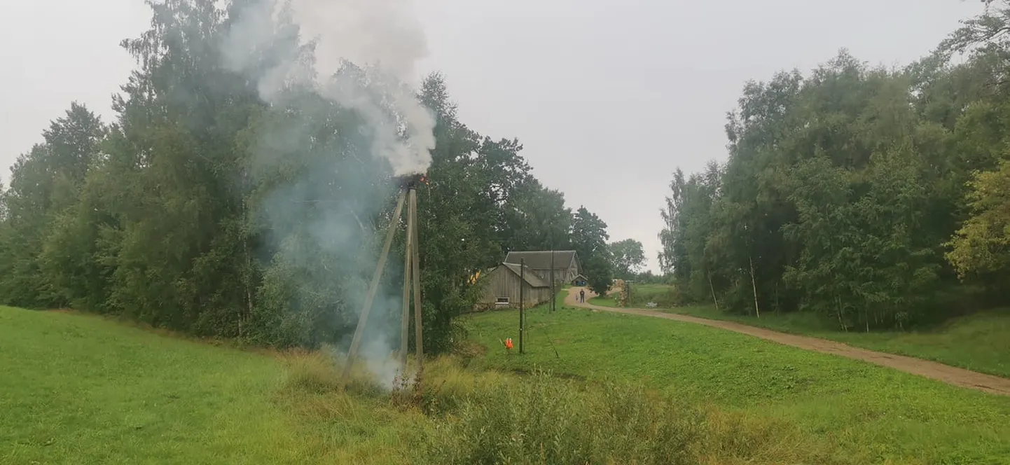 Põlema süttinud kurepesa.