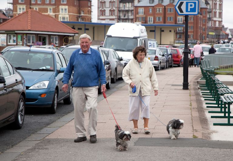 Vanurid koeri Suurbritannias koeri jalutamas. 