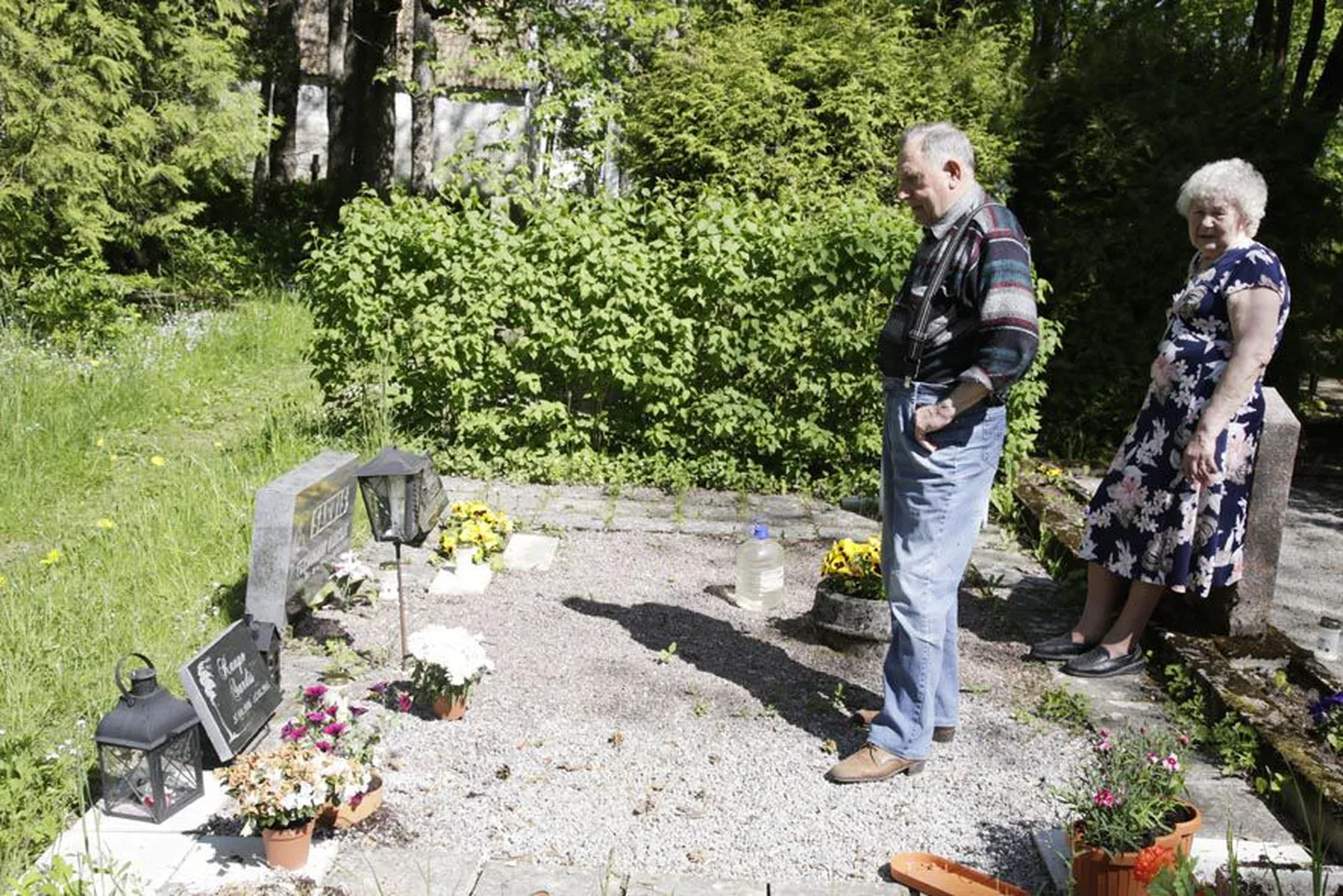 Lapselaps Kaupo Sardise hauaplatsi Järva-Peetri kalmistul hooldamas käies võtavad Hans ja Vaike Sardis alati vee ja tööriistad kaasa.