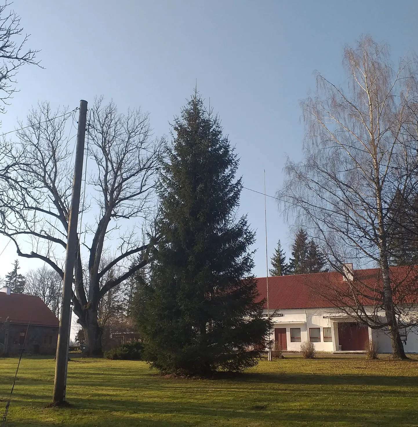Mõni aasta tagasi loositi Viljandi valla jõulupuuks Kärstna kuusk.