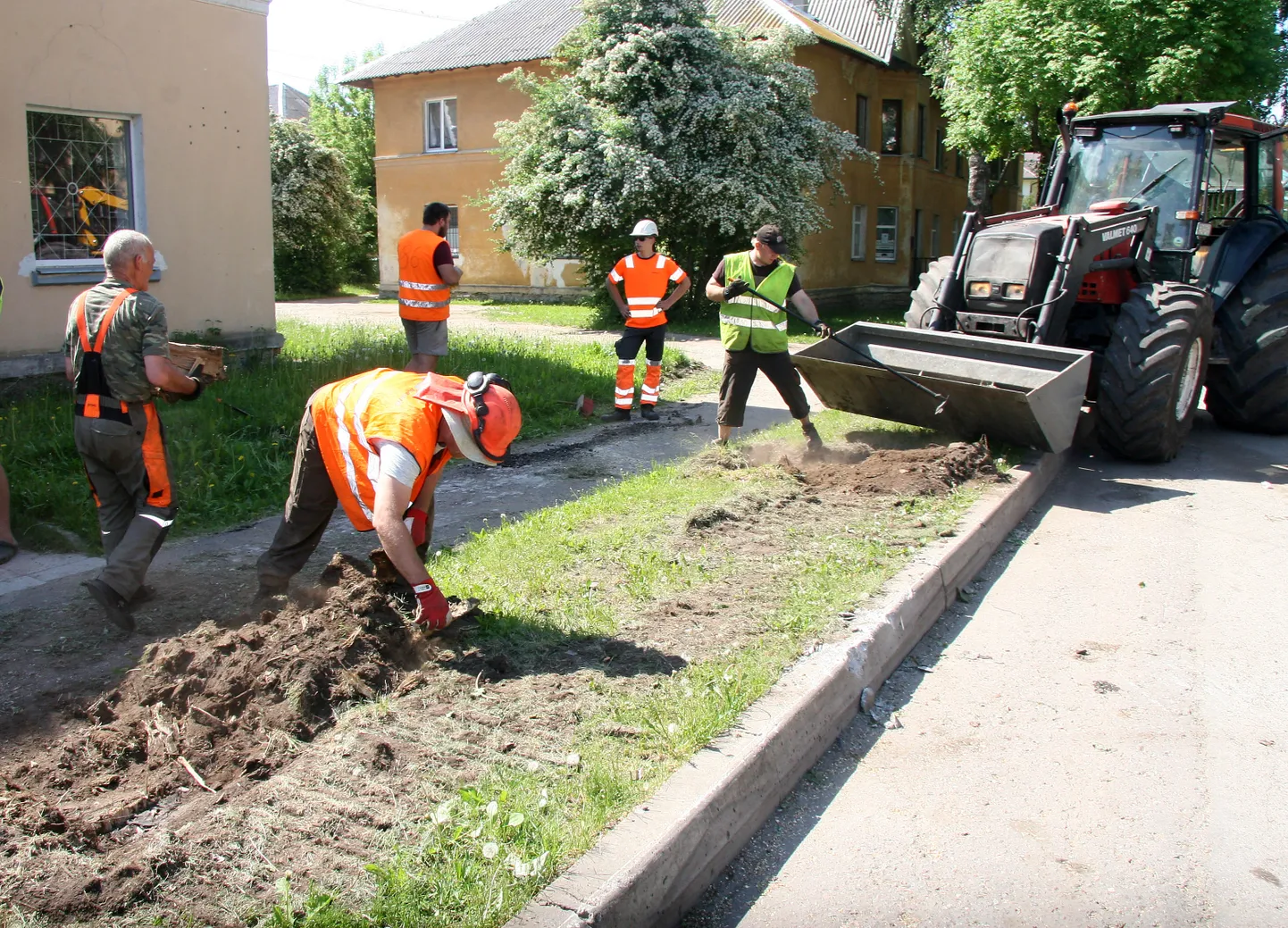 После вырубки деревьев выкорчевали и пни; иотом занялись асфальтом.
