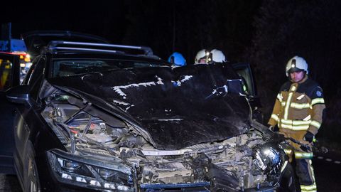 Galerii. Põder jooksis maasturile ette, auto sai tugevalt kannatada