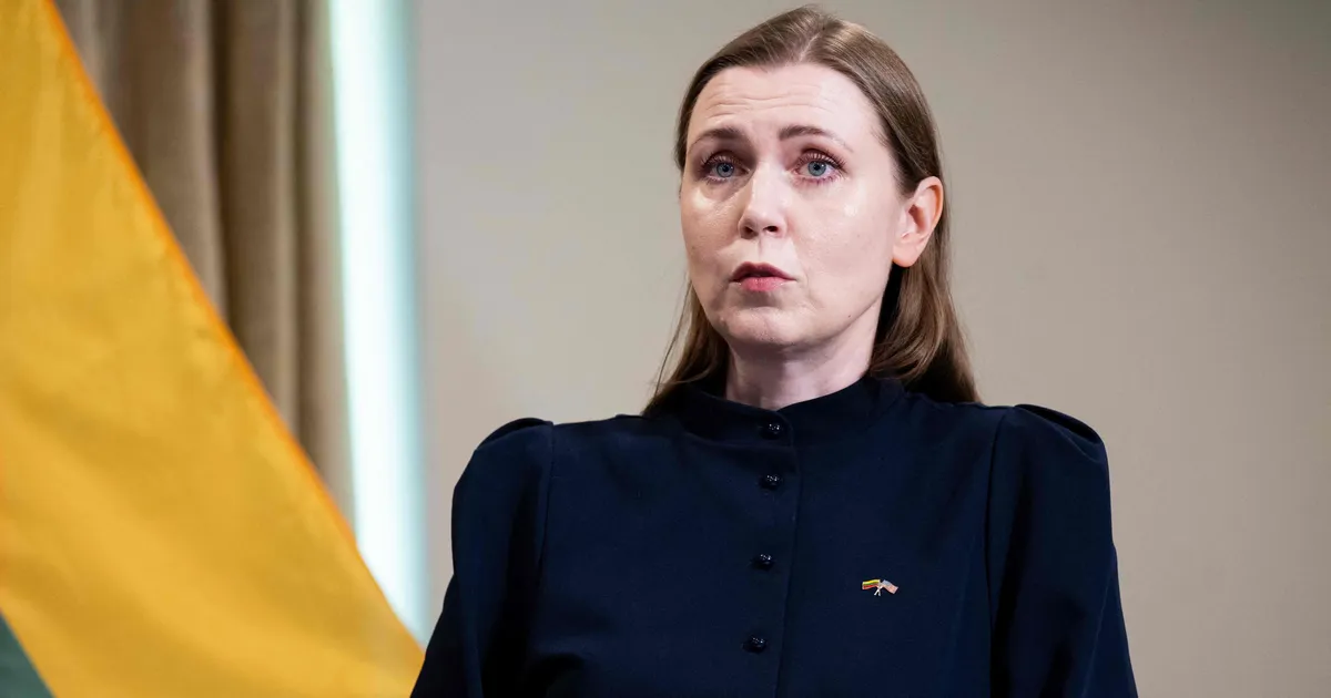 Leedu kaitseminister teatas otsusest tagasi astuda