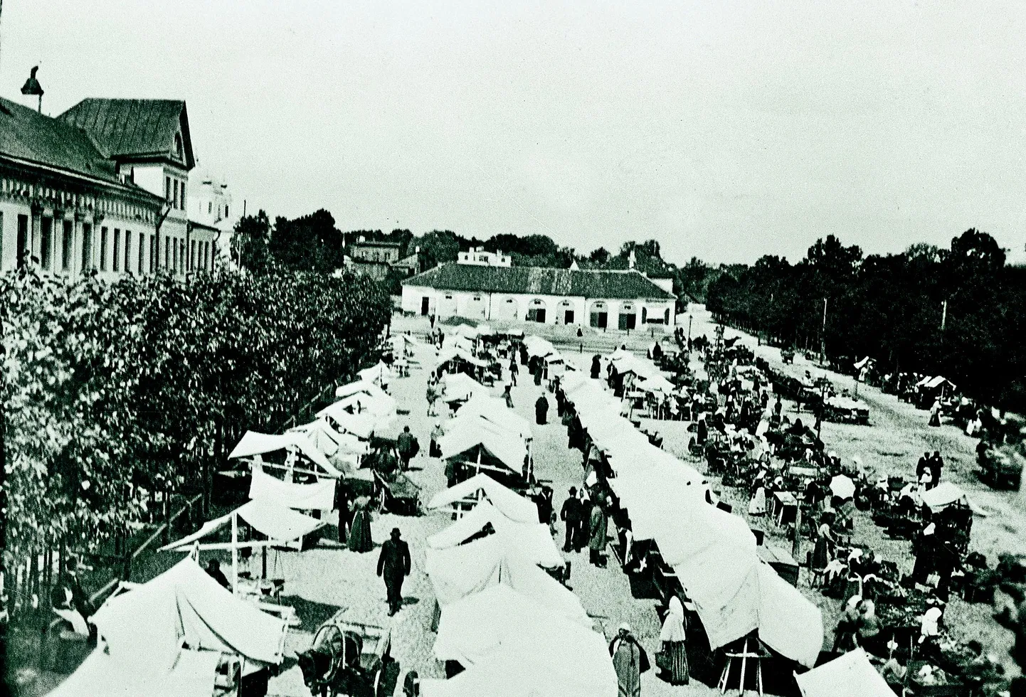 Kuni 1938. aasta alguseni toimetas 
Vabaduse puiestee 
linnapoolsel küljel lahtine lihaturg. 
Taamal 
paistab 
lihakarn, mille asemele 
hiljem ehitati pangahoone, kus praegu asub haridusministeerium.
