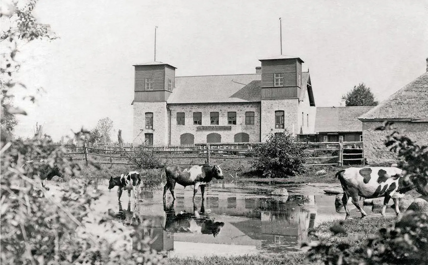 Veel sada aastat tagasi voolas Ambla jõgi üsna pritsimaja, praeguse kultuuri­maja lähedalt mööda. Seetõttu oli loomade karjamaa tihti pooleldi vee all. 1930. aastate alguses kaevati käsitsi uus jõesäng pritsimajast eemale, mis lõpetas ka üleujutuste ohu.