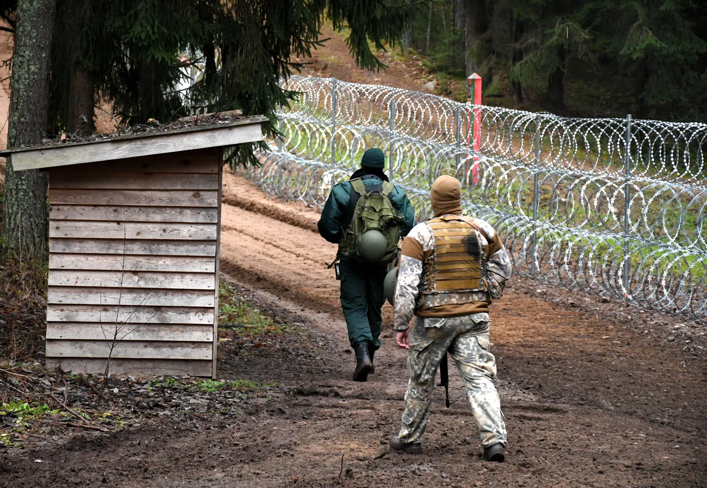 Kaplavas robežapsardzības nodaļas robežsargi apsargā Latvijas-Baltkrievijas robežu. Ilustratīvs attēls